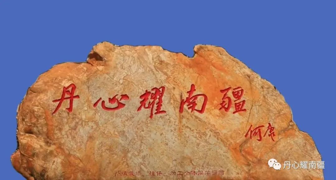 william威廉亚洲官方